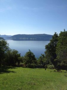 507