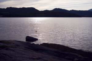 Betten-Nesset