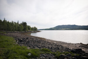 Betten-Nesset